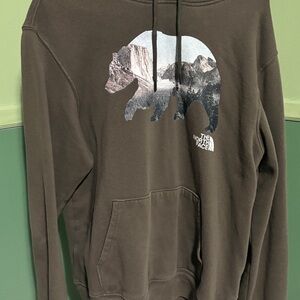 The North Face Men's Green Olive Hoodie Bear Logo Size M